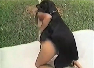 Dirty Doberman licking tasty human pussy