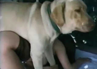 Dog power-fucking a chick into submission