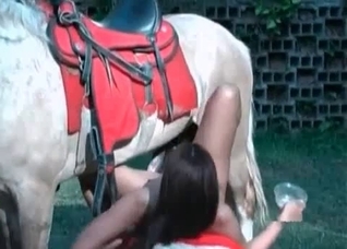 Hung stud of a horse getting it on